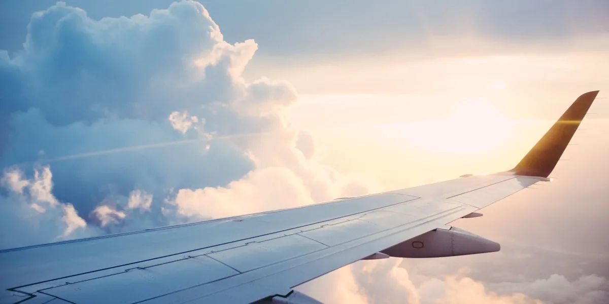 Flying With an ESA in 2026: What Airlines Still Allow